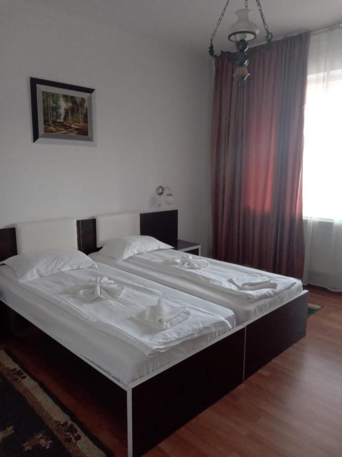 Hotel Turist Pucioasa Kültér fotó